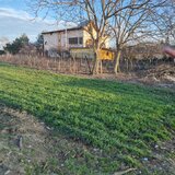 Tandava, vand teren cu deschidere la padure (Gradinari, Giurgiu)